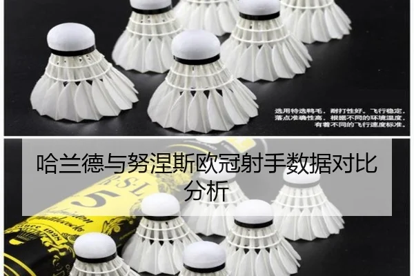 哈兰德与努涅斯欧冠射手数据对比分析